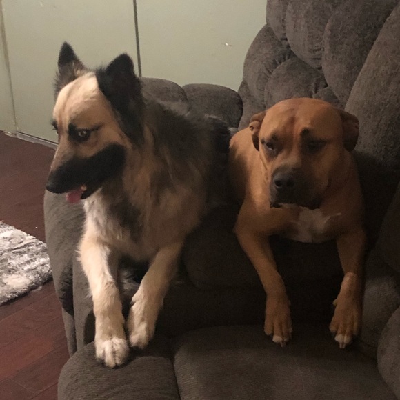 Meet your Posher, Cindy - Picture 5 of 7